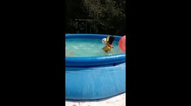 Summer pool