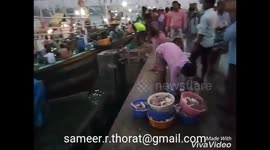 Fish selling and Auction at Bhau cha Dhakka-Mumbai
