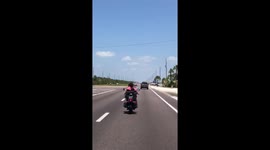 Puppy gets ride on motorcycle