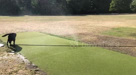 Sprinkler system assistant in Battersea Park