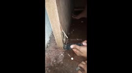 Family raid unusual piggy bank with coins hidden inside wooden door