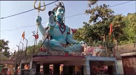 Bizarre; Three horns & Three eyes Scared bull in India