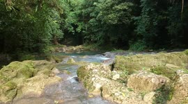 Waterfall | Reach Falls | Jamaica
