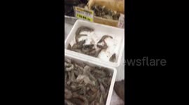 WING YIP Birmingham Lobster And Fish Market