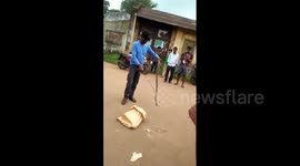 Cobra bites amateur snake-catcher in daring rescue