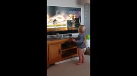 My 1 year old son dancing to baby Groot.