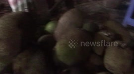 BUYING JACKFRUIT IN BANGLADESH  / SYLHET BAZZAR / KATTAL