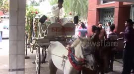 WEDDING HORSE AND CART IN BANGLADESH