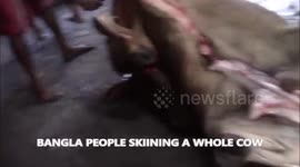 HOW TO SKIN A COW AND CUT UP ALL THE PARTS OF THE BODY
