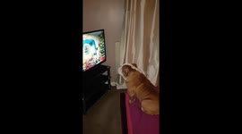 Bulldog puppy hilariously howls along to cartoon