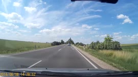 Driver had a good reflex.