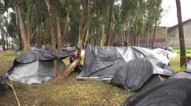 Venezuelan Migrant Crisis