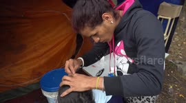 Venezuelan Migrant Crisis