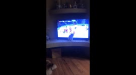 The cat tries to catch the favourite hockey player