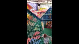 Grandma screams on slide