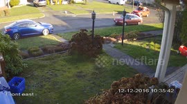 Package thief caught on camera