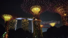 This video of Supertree grove will make sure Singapore is on your bucket list