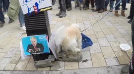 Remainer dog poos on Nigel Farage