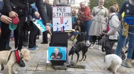 Dogs urinate on image of Boris Johnson during anti-Brexit Wooferendum rally