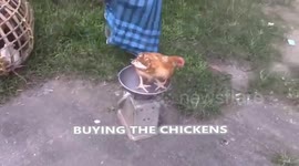 HOW CHICKENS ARE BOUGHT AND GOT PREPERD FOR COOKING IN BANGLADESH
