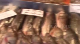 THE FISH STAND IN THE BANGLA SUPERMARKET ALL TYPES OF FISH