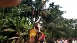 Elephant shakes off Indian politician during celebration march