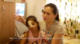 Schoolgirl, 8, speaks about how she chased off gun-wielding robbers