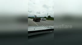 Dog rides on the roof of pick-up truck