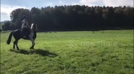 Turn the music up! Pony doing the cha cha slide