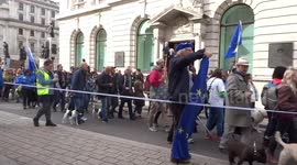 Wooferendum march against Brexit on Pall Mall