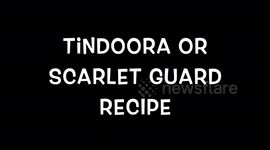 Tindoora Recipe