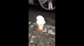A high-stakes bottle flip? Man lands an ice cream flip!