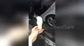 Newsflare Edit - A high-stakes bottle flip? Man lands an ice cream flip!