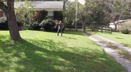 drone crashes into tree, now smells like tree