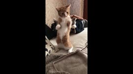 Whats that noise?