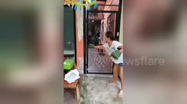 Mother catches python with her son's Incredible Hulk rubber gloves