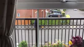 My neighbour...mowing his...erm...path...Only in #Stoke https://t.co/rK3pDnZcpM