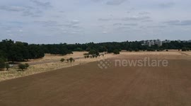 Flying Fields, Richmond Park, London - Drone Flight