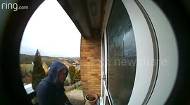 Homeowner catches package thief remotely using 'Ring' door cam