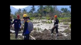 Search And Rescue Team rescues a cow alive after trap in the mud for 10 days