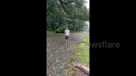 Dramatic moment tree branch collapses from force of Hurricane Michael winds