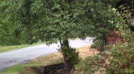 PEUGEOT 208 R5 CRASH INTO THE DITCH