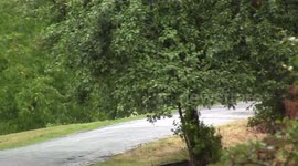 HARD CRASH SKODA FABIA R5 RALLY ACCIDENT