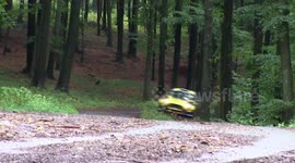 RALLY CAR FORD FIESTA R5 CRASH INTO THE TREE LOG
