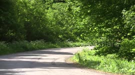 SEAT LEON TDI RALLY CRASH