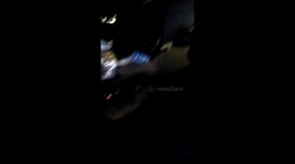 Python caught eating a pet dog