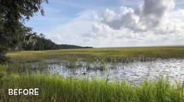Hurricane Michael storm footage