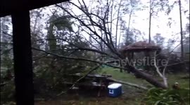 Hurricane Michael Seminole County Georgia 2018