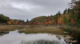 Fall Foliage in Maine (10/07/2018)