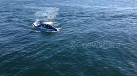 UFO Robot Dolphin in San Diego Bay